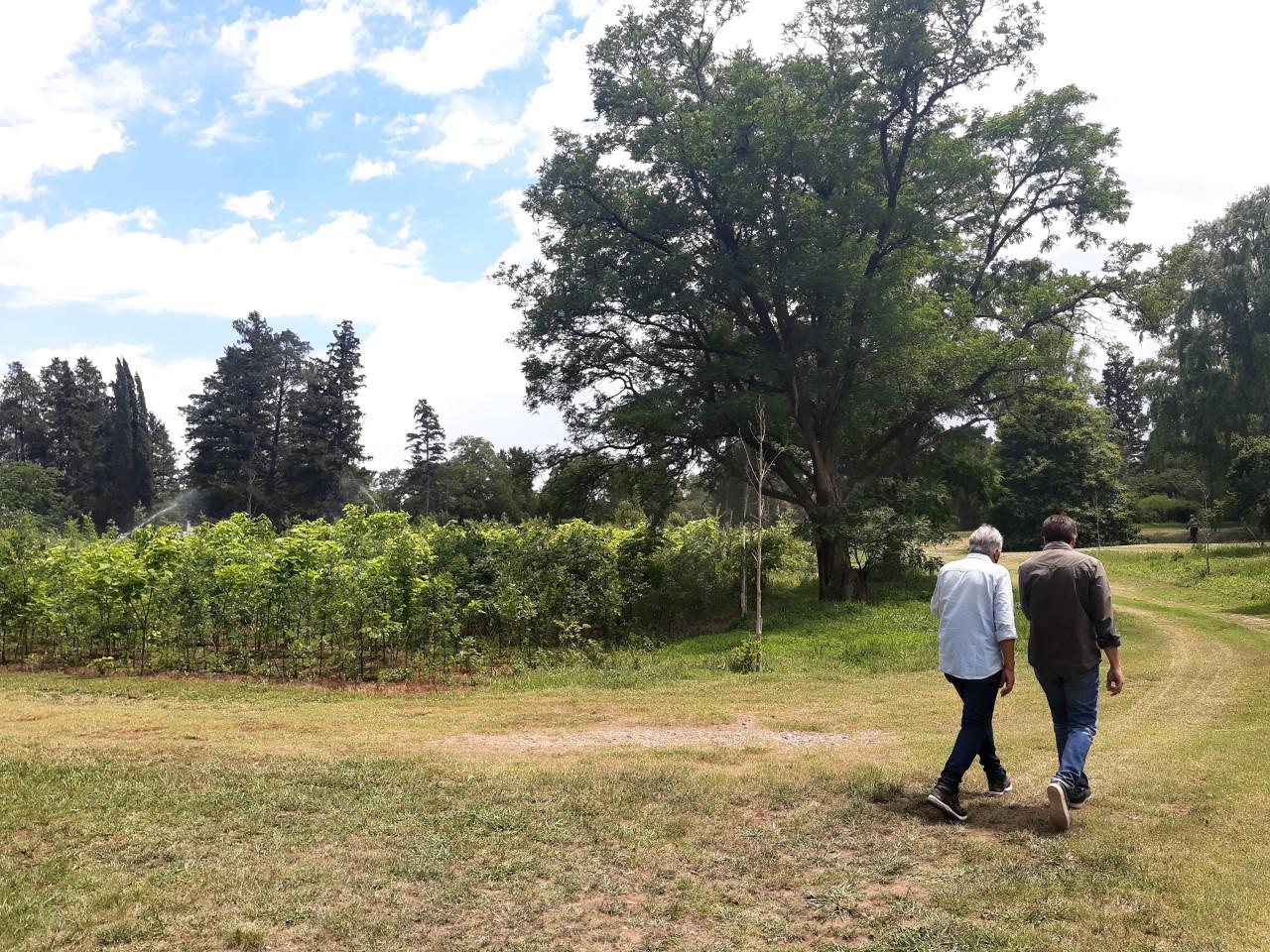 visita al vivero provincial 2