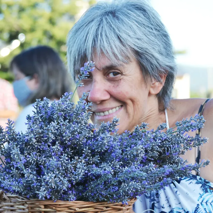 festival de la cosecha de la lavanda en islavanda 2025