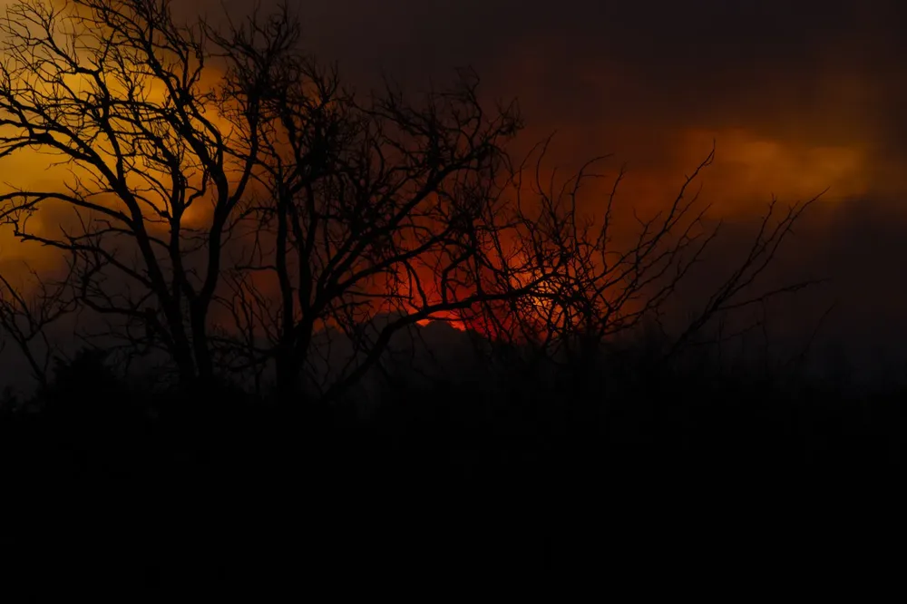 Sebastian Gil Miranda pic 10