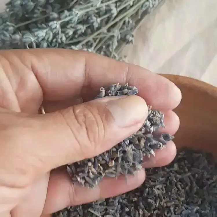 fitoaromaterapia islavanda (4)