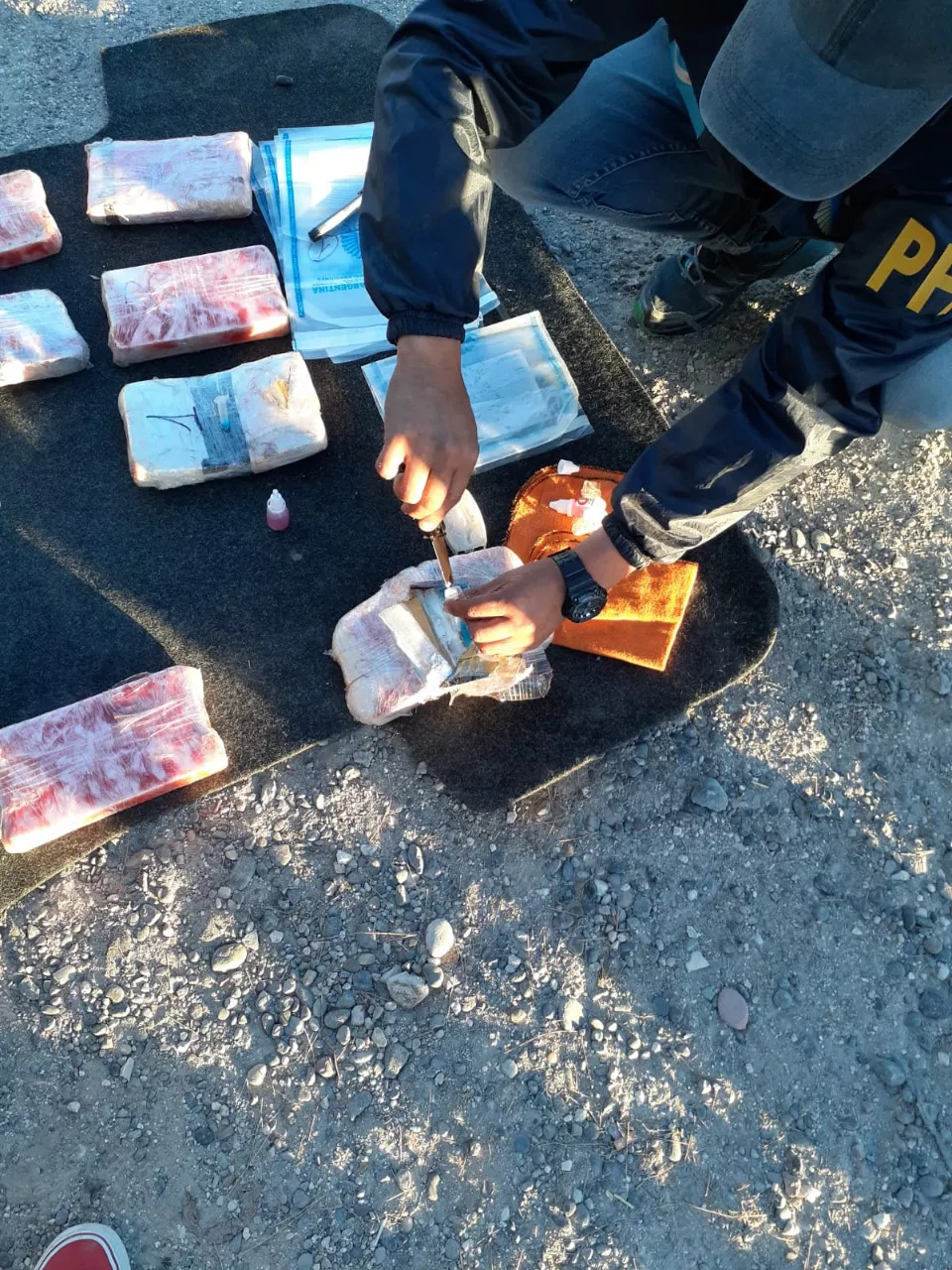 Fotos: Prensa Policía Federal Argentina