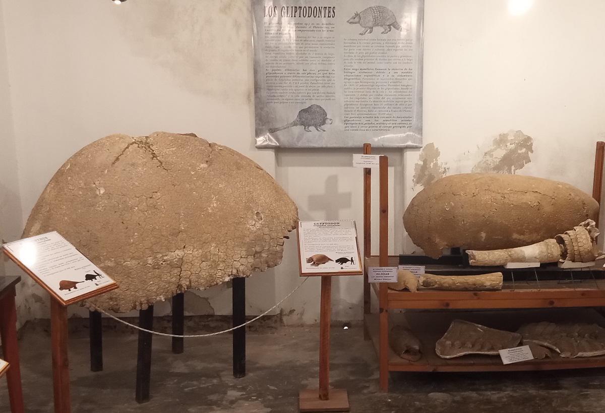 Museo Dalmacio Velez Sarsfield (2)