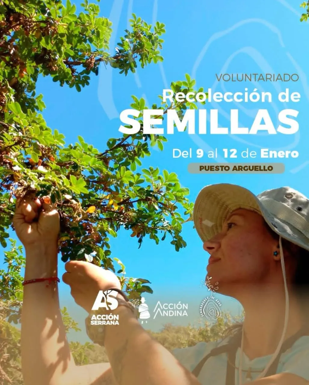 recolección semillas sembradores de agua