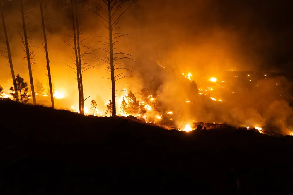 Sebastian Gil Miranda pic 03