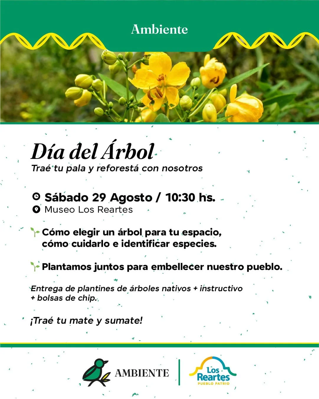 WhatsApp Image 2026-08-27 at 16.09.53