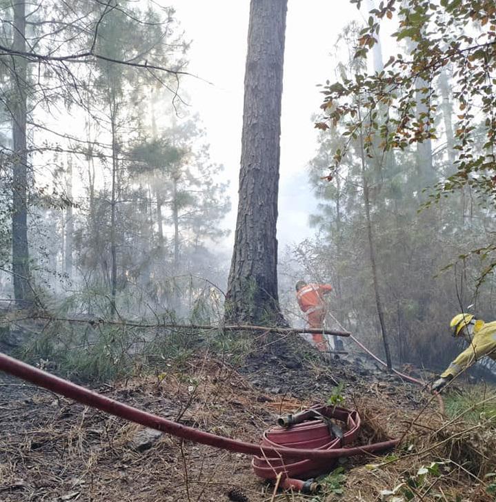 INCENDIO EN LAS CAÑITAS 02