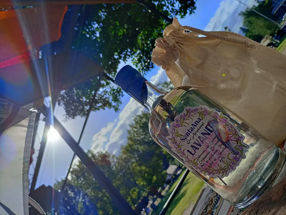 alejandro mazza pierri gin santa ana