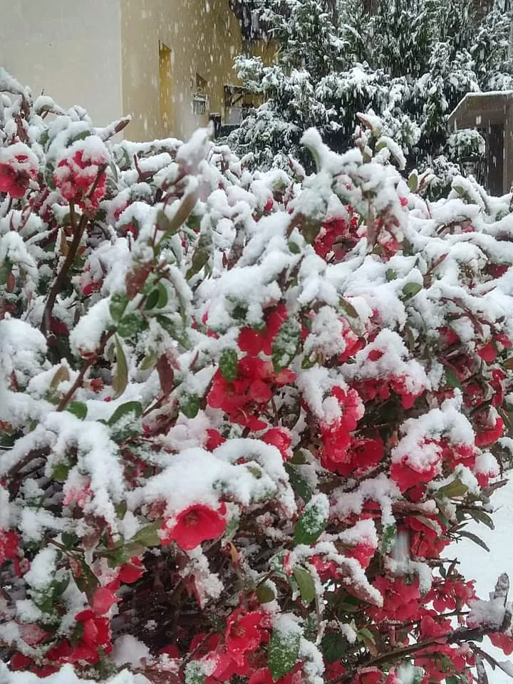 Nieve en Calamuchita: las postales que dejó el fenómeno en el Valle