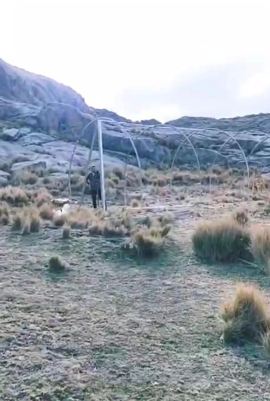 Sembradores de agua
