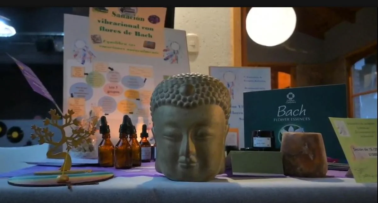 holistico10