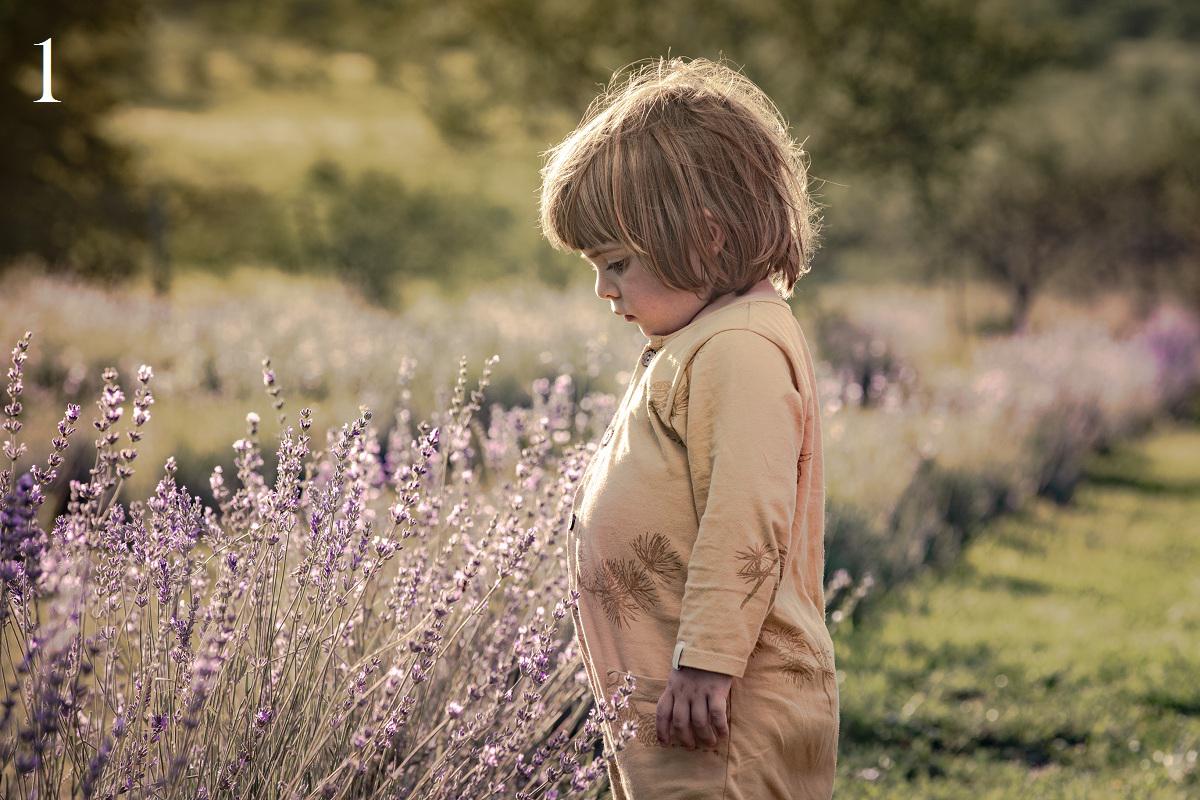 Islavanda concurso fotográfico (Foto 1)