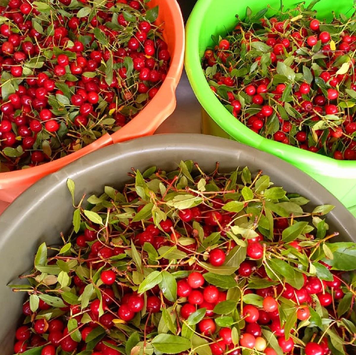 Ramona Delicias del Valle Villa General Belgrano