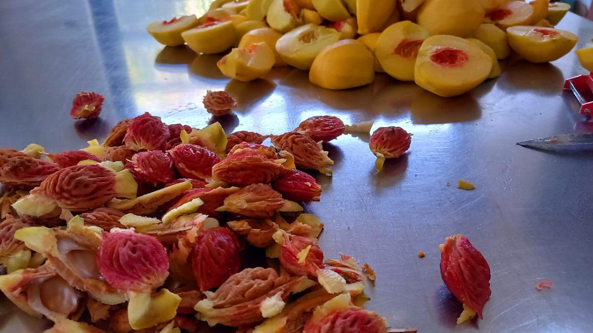 Ramona Delicias del Valle Villa General Belgrano Ramona, de hacer dulces caseros en su casa a construir una fábrica artesanal en el Valle de Calamuchita