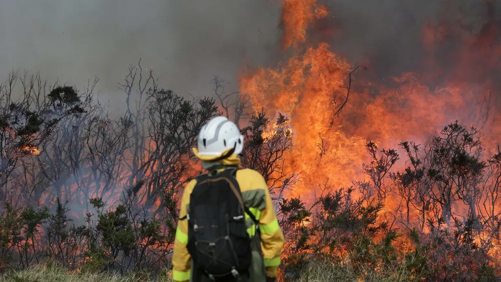 efectivo-xunta-base-becerrea-trabajan-extinguir-llamas-incendio-forestal-29-marzo-2023-baleira_98