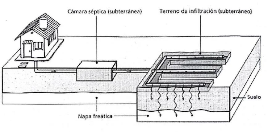conmark