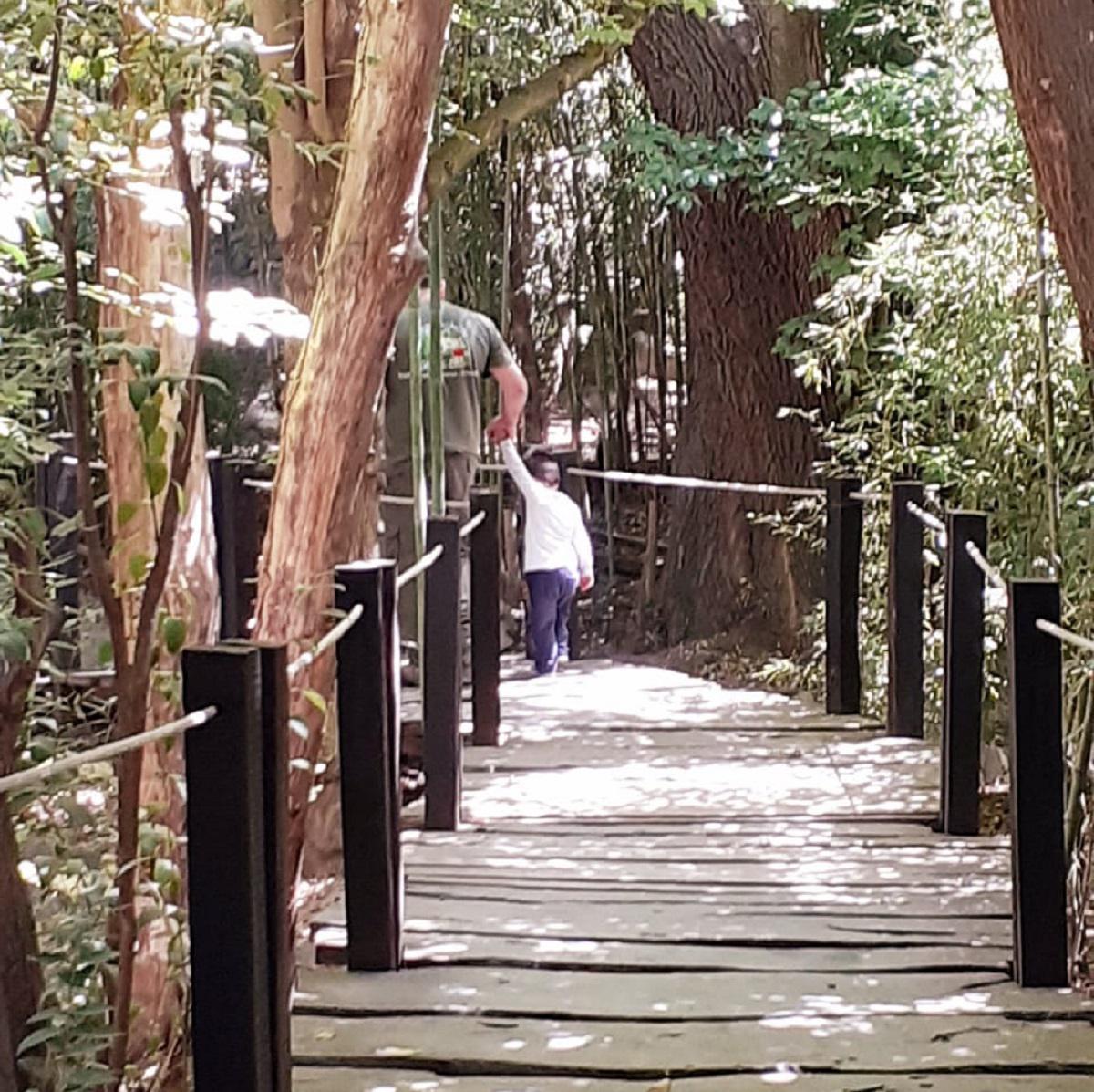 Bosque de Don Otto Villa General Belgrano