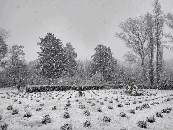 Nieve en Calamuchita: las postales que dejó el fenómeno en el Valle
