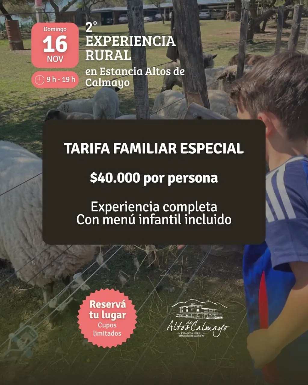 tarifa especial  (2)