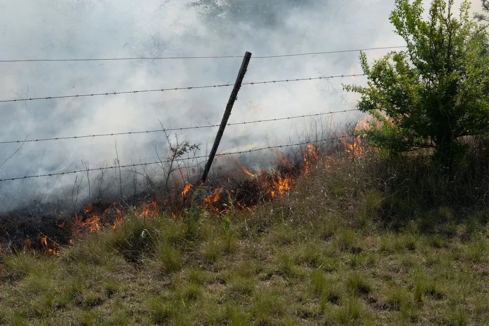 Incendio en Villa General Belgrano -  Foto: Gentileza Sebastián Gil Miranda