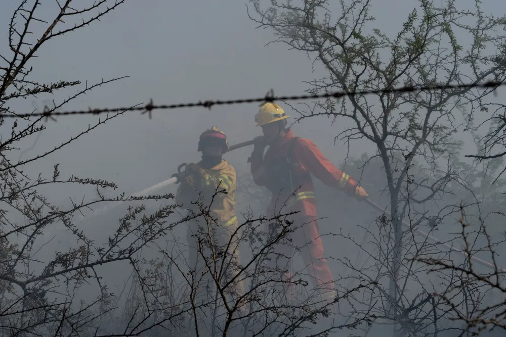 Incendio en Villa General Belgrano -  Foto: Gentileza Sebastián Gil Miranda