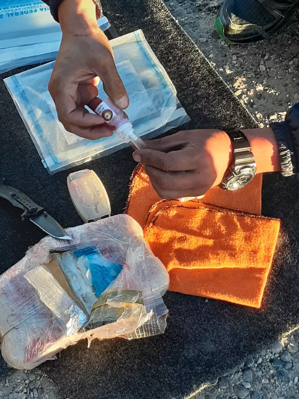 Fotos: Prensa Policía Federal Argentina