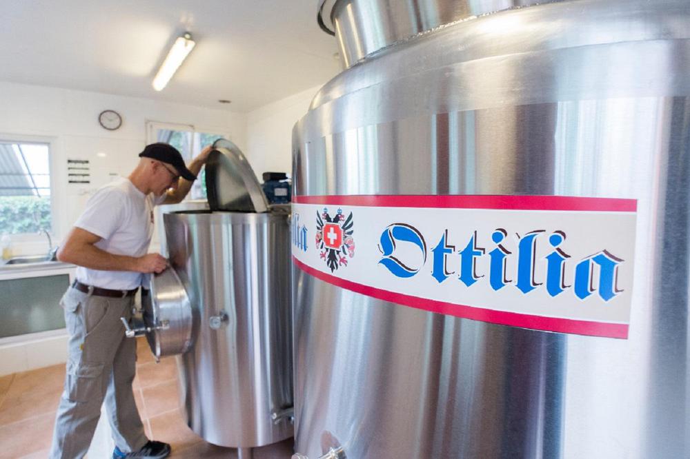 WhatsApp Image 2024-02-07 at 14.31.53