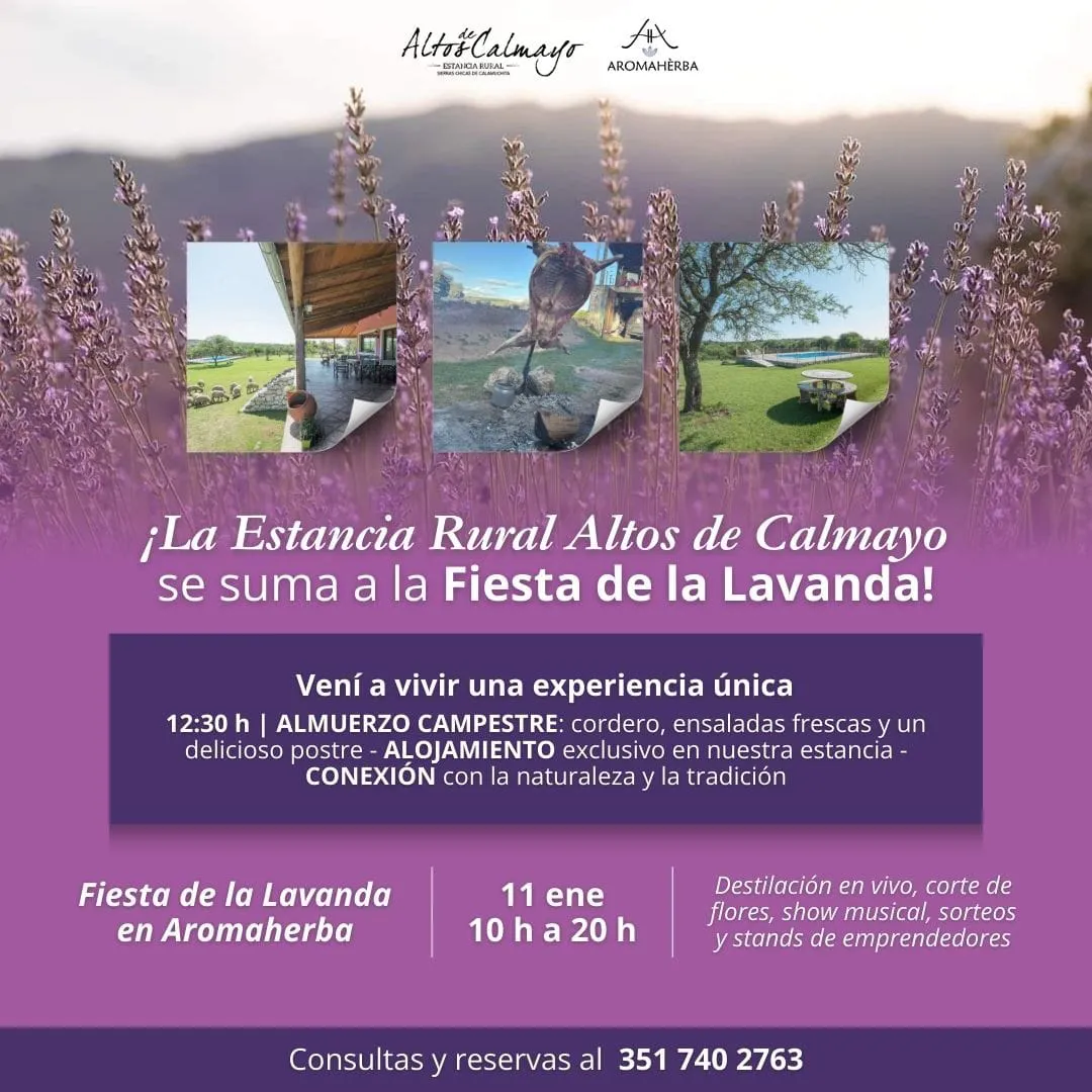 WhatsApp Image 2025-01-03 at 8.49.01 AM