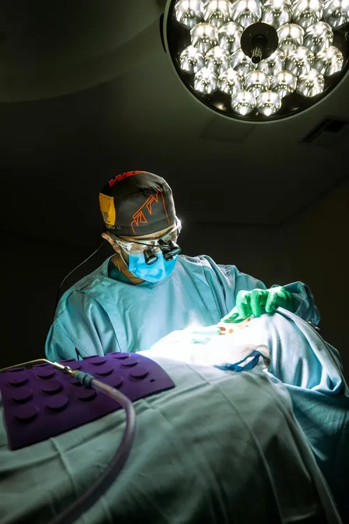 pexels-sie7e-30686718