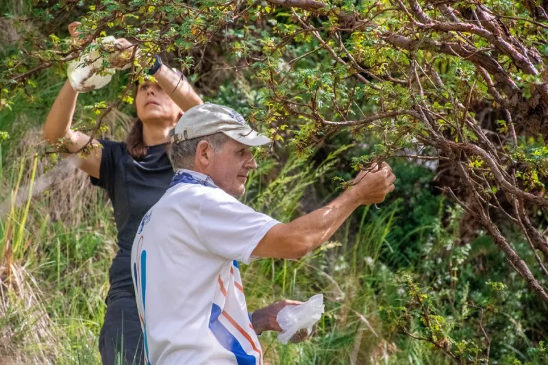 Sembradores de Agua 04