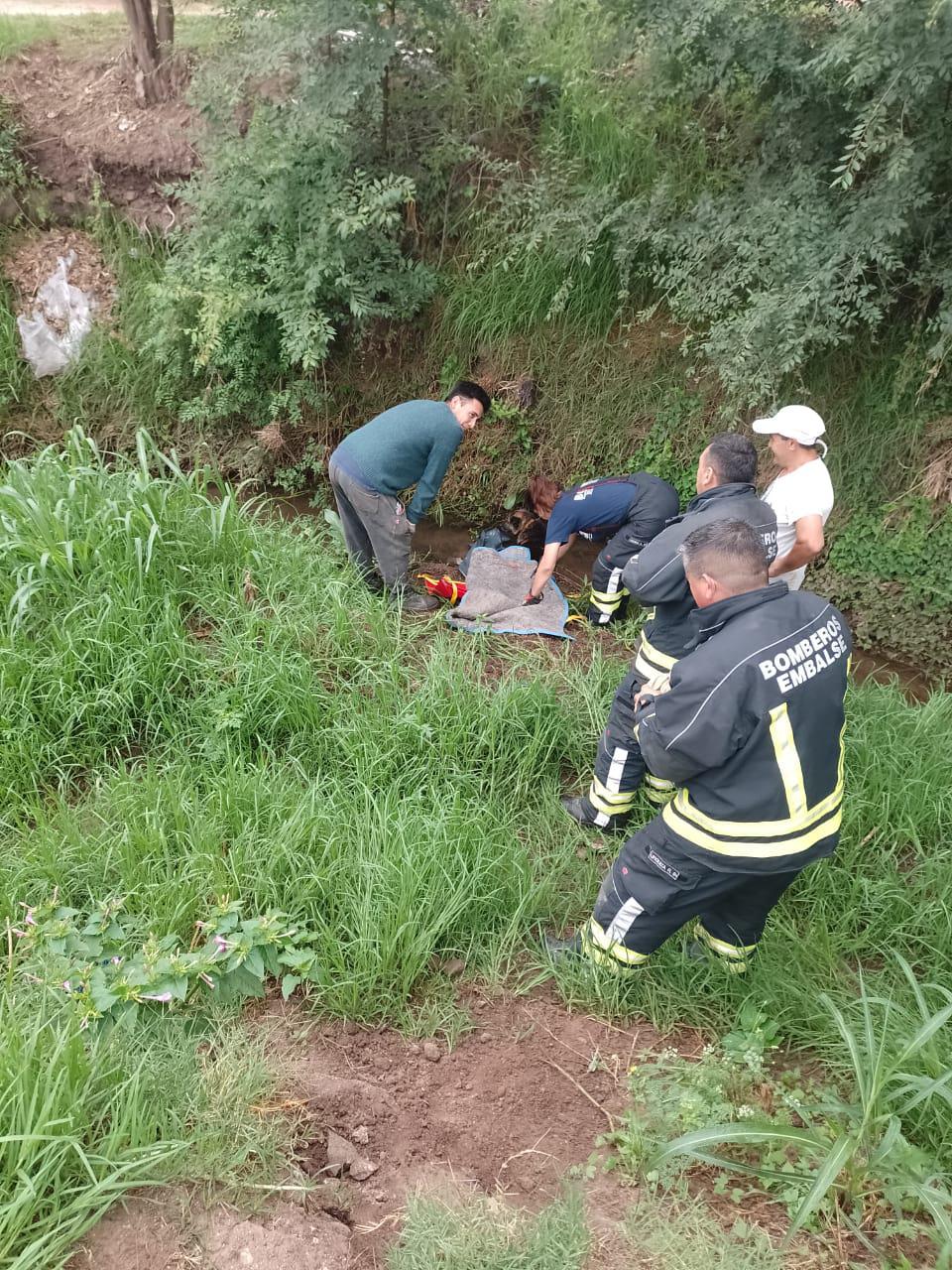Rescatan a un perro en un desagüe 