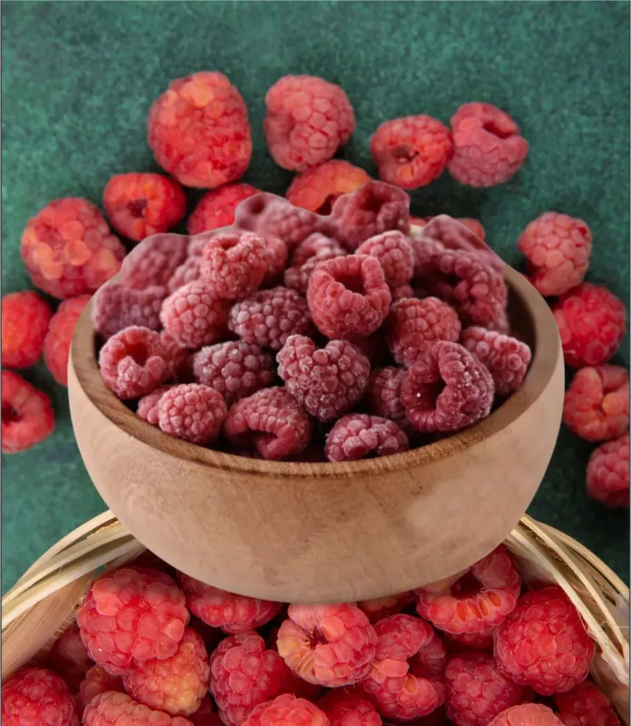 WhatsApp Image 2026-02-09 at 4.18