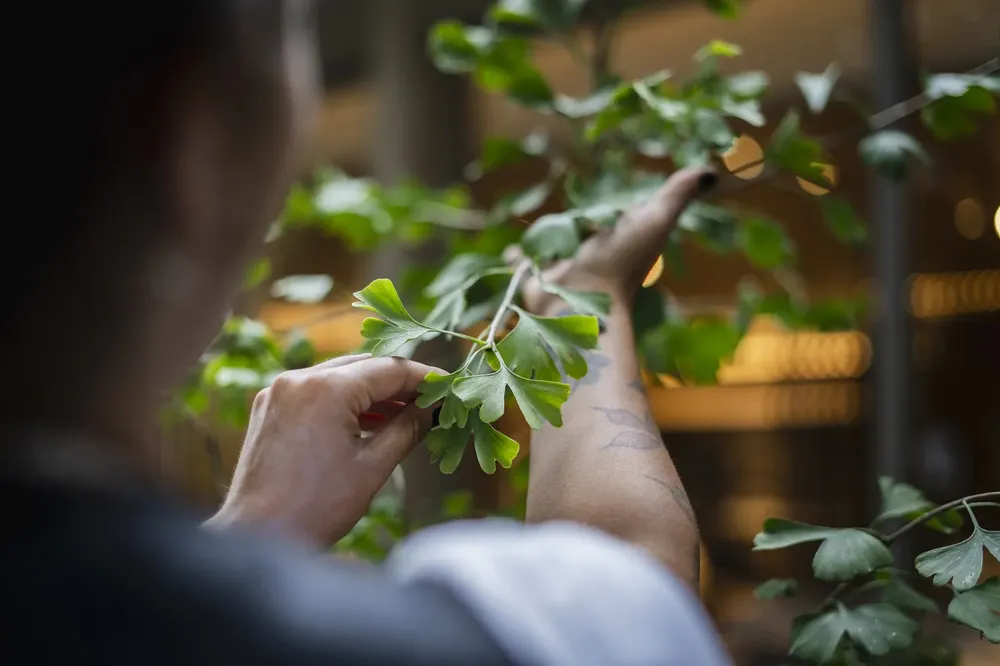 Estudio Zarzamora en Casa FOA 2025 (6)