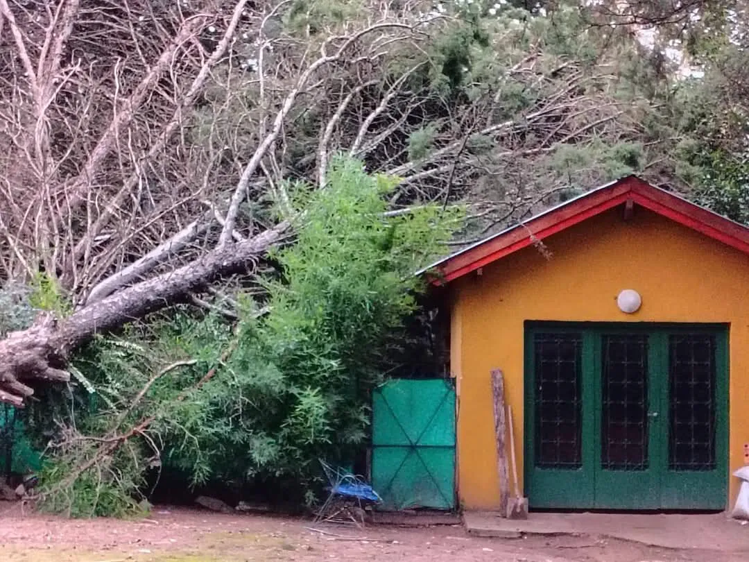 fb17c64f-1424-40c2-9301-ebfb30968249