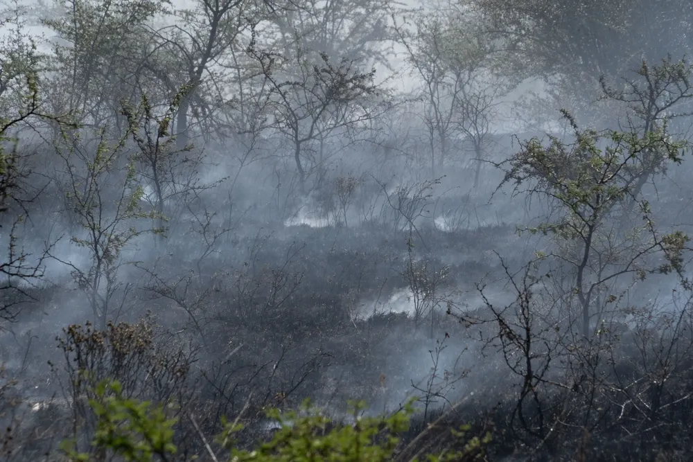 Incendio en Villa General Belgrano -  Foto: Gentileza Sebastián Gil Miranda