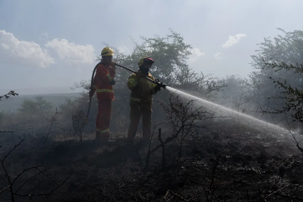 Incendio en Villa General Belgrano -  Foto: Gentileza Sebastián Gil Miranda