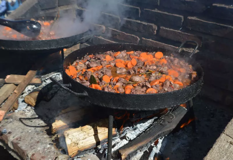 Fiesta de la comida al disco de arado -  Participantes Cheff