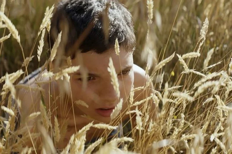 peli3-696x464