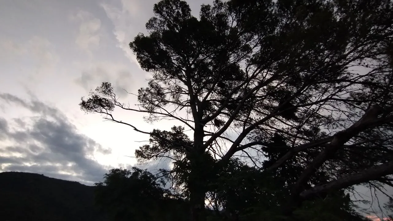 photo_2025-01-31_11-42-41