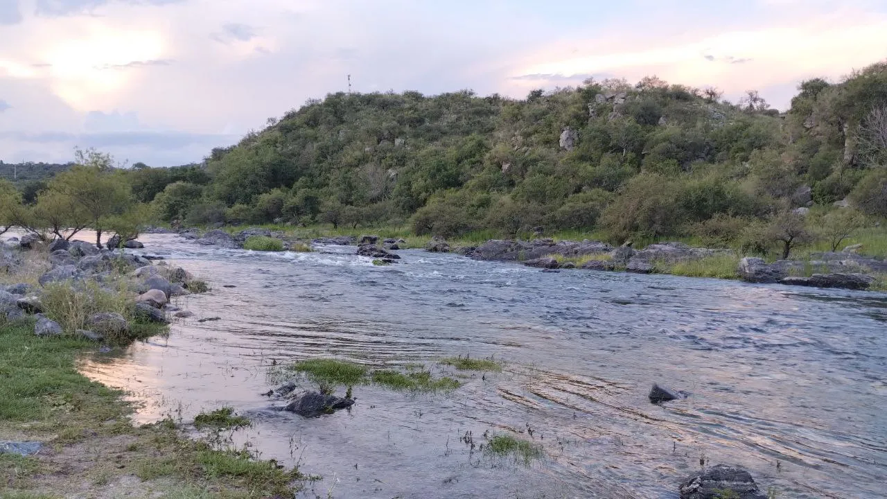 photo_2025-01-31_11-49-44