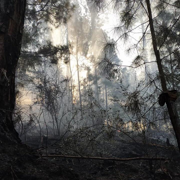 INCENDIO EN LAS CAÑITAS 01