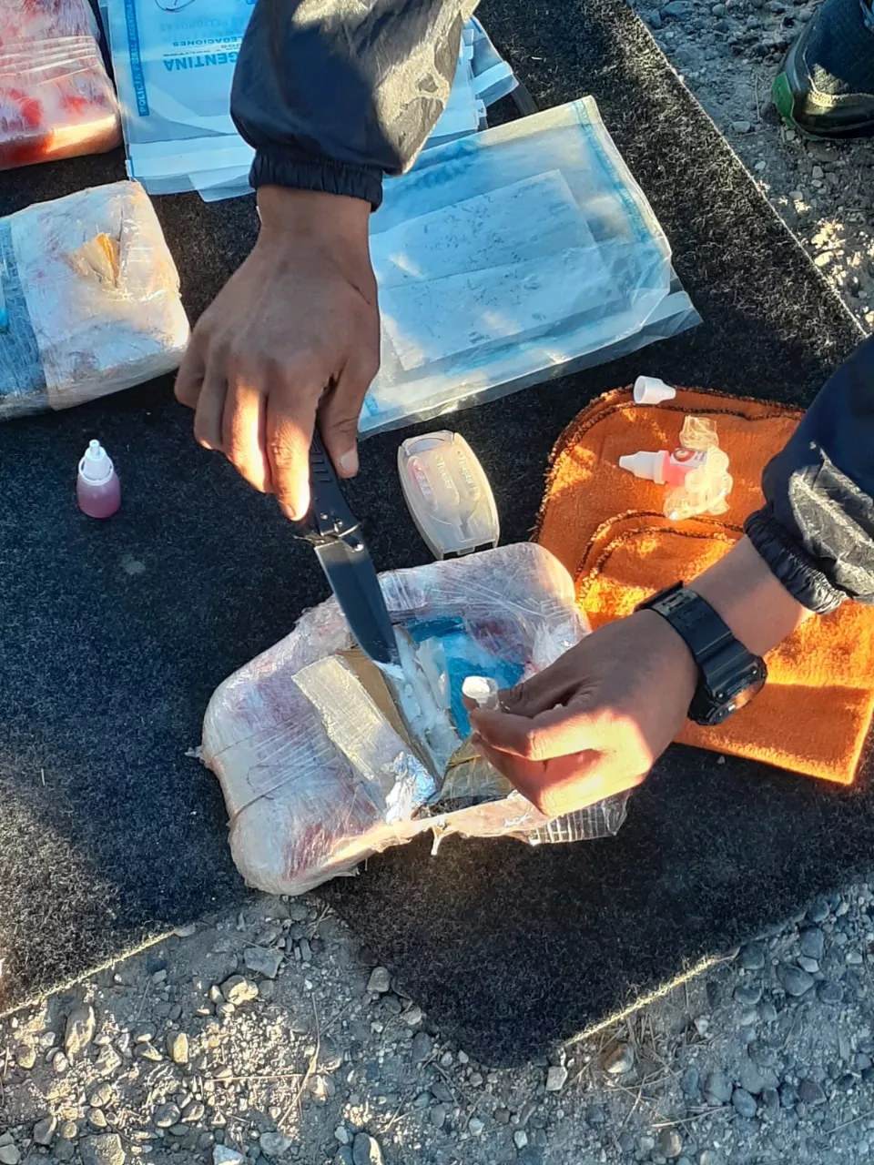 Fotos: Prensa Policía Federal Argentina
