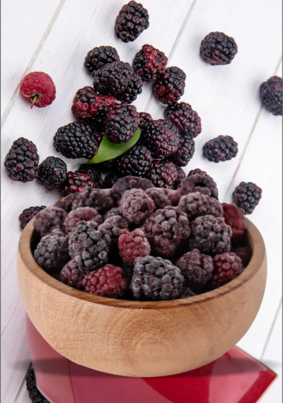 WhatsApp Image 2026-02-09 at 4.18