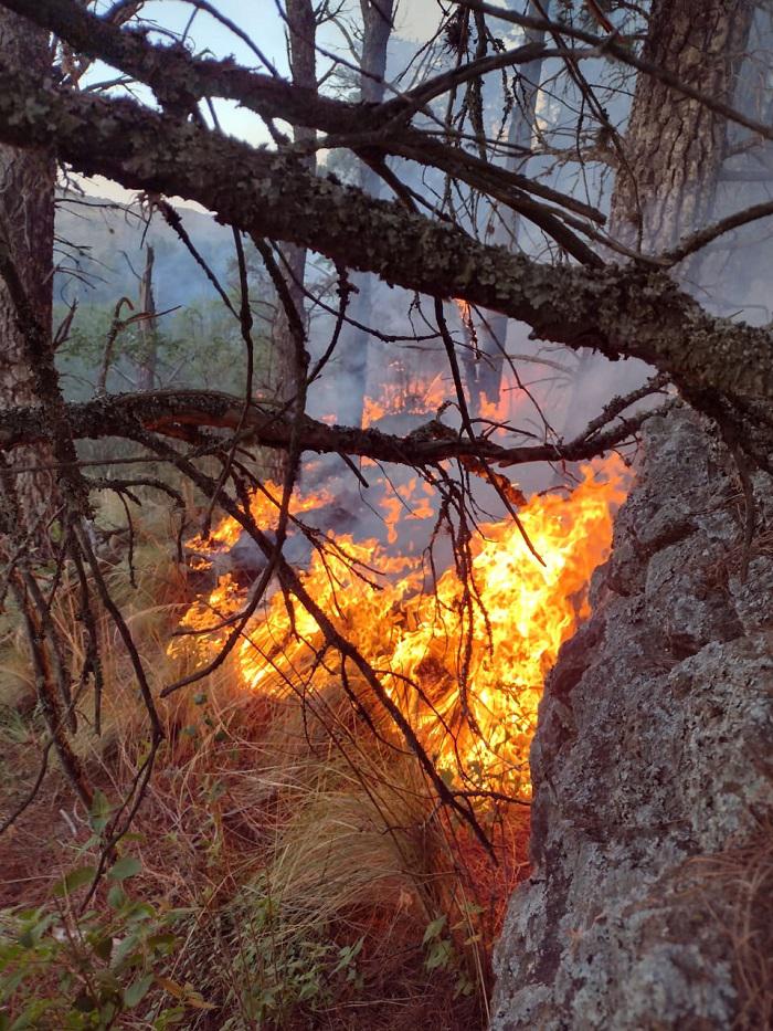 INCENDIO LUTTI 07