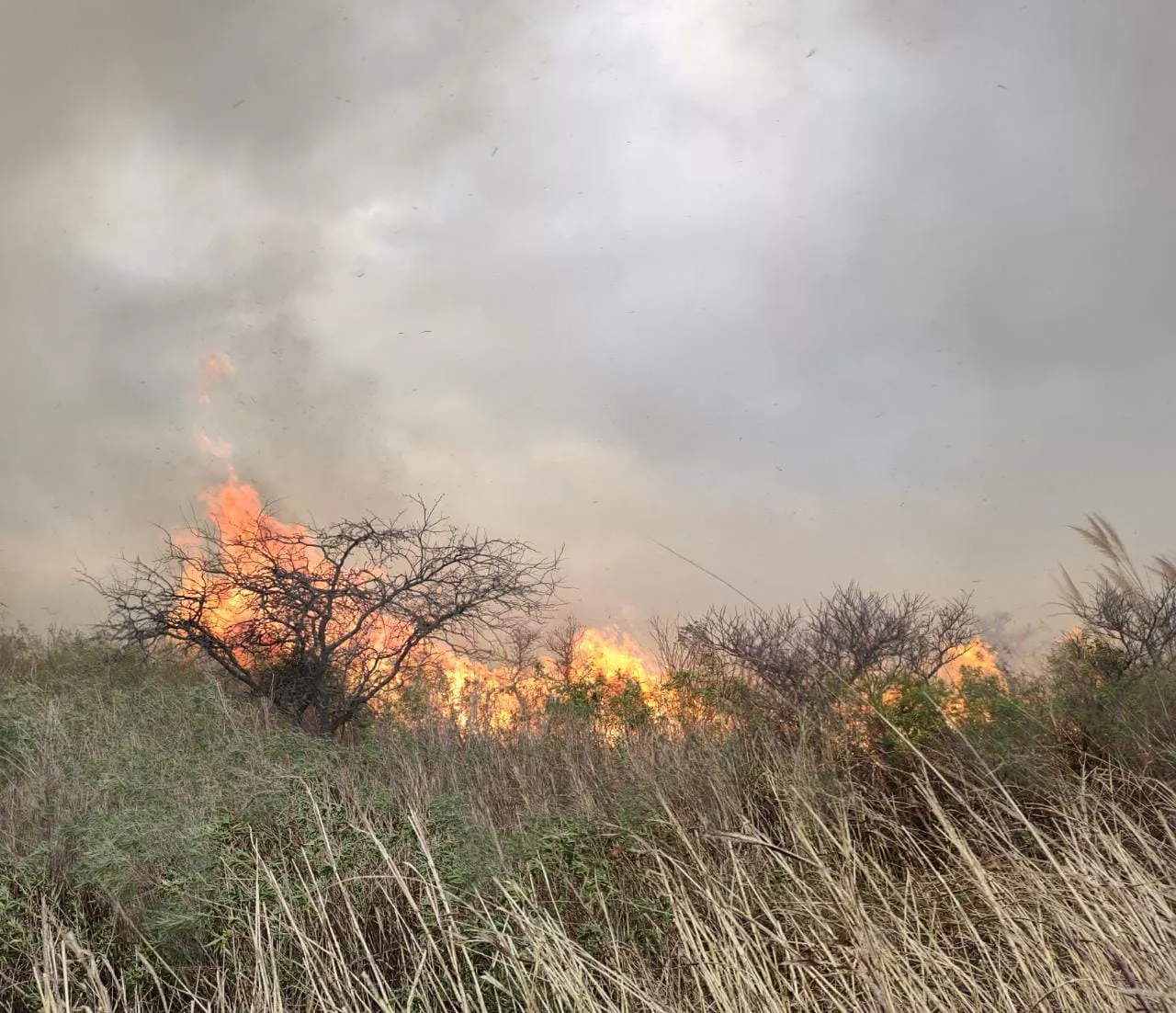 BOMBEROS DE EMBALSE EN LOS CONDORES 02