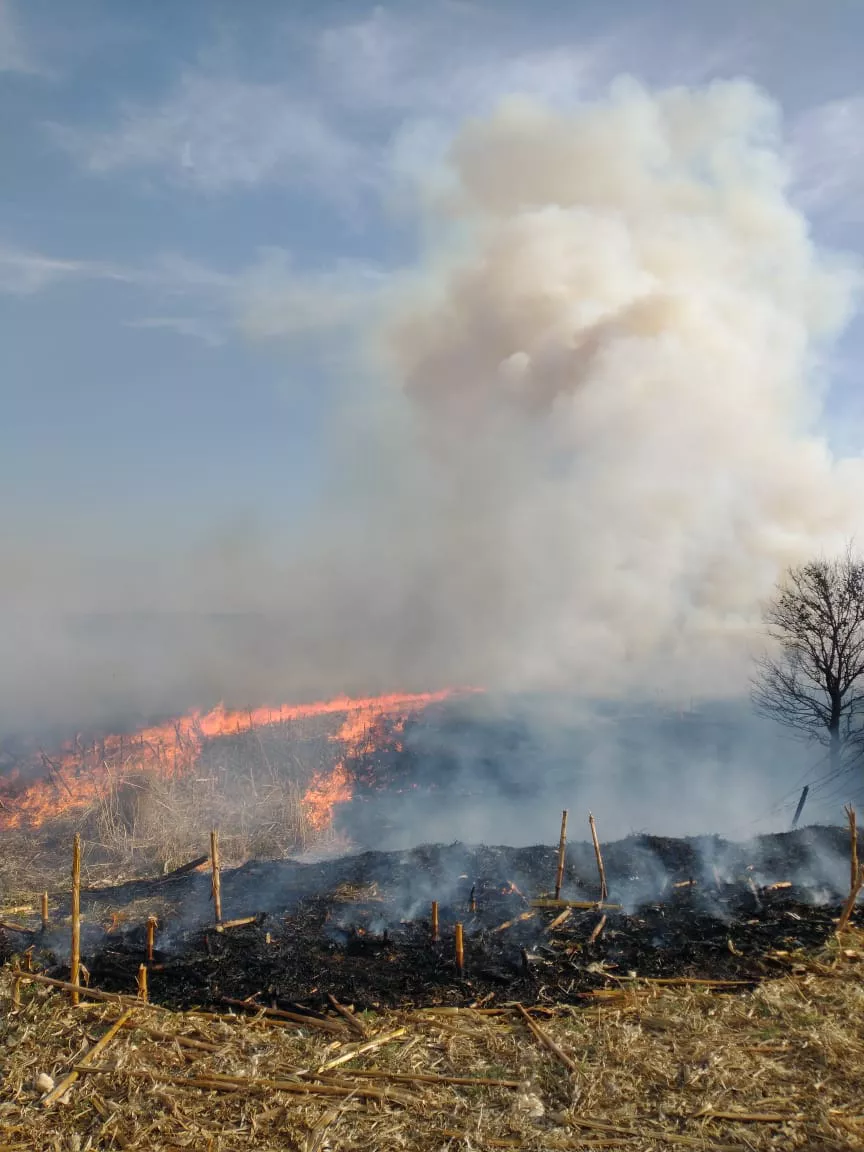 incendio en San ignacio 2