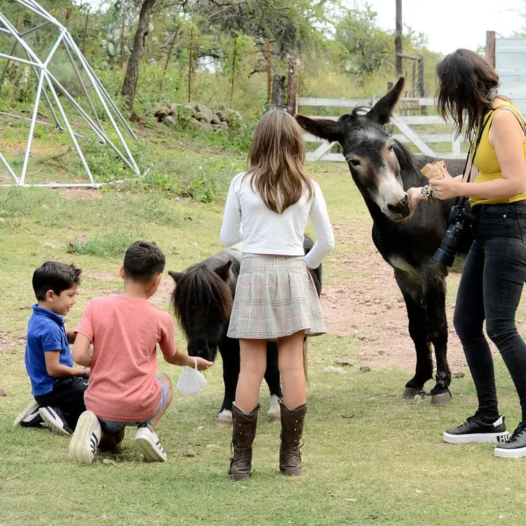 reserva pumakawa villa rumipal