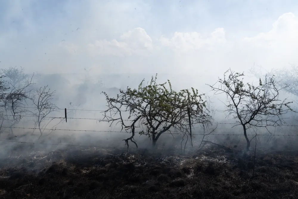 Incendio en Villa General Belgrano -  Foto: Gentileza Sebastián Gil Miranda