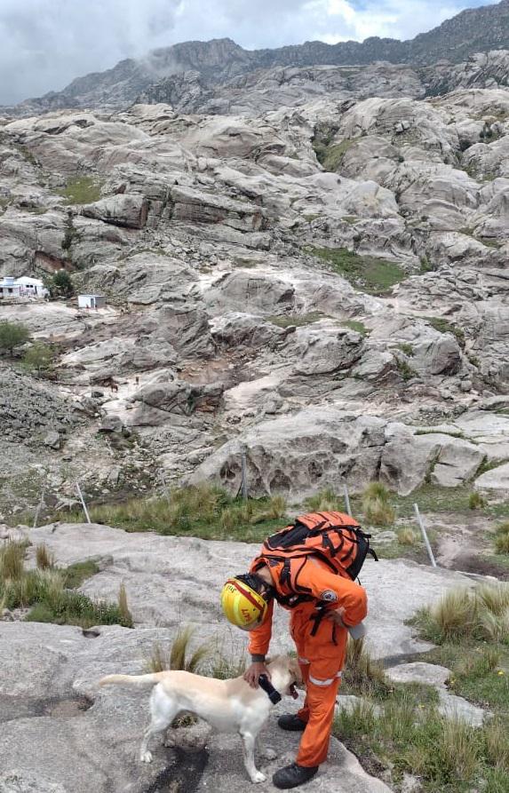 Perro de búsqueda en el Cerro Champaquí 06