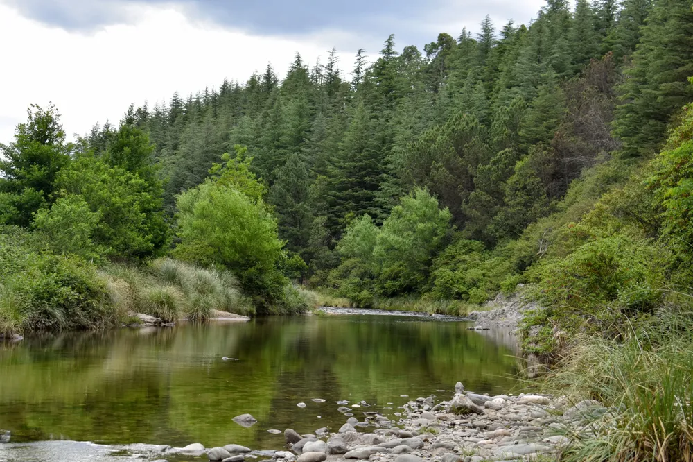 9cde3879-7630-4593-94b0-18d5b9032286