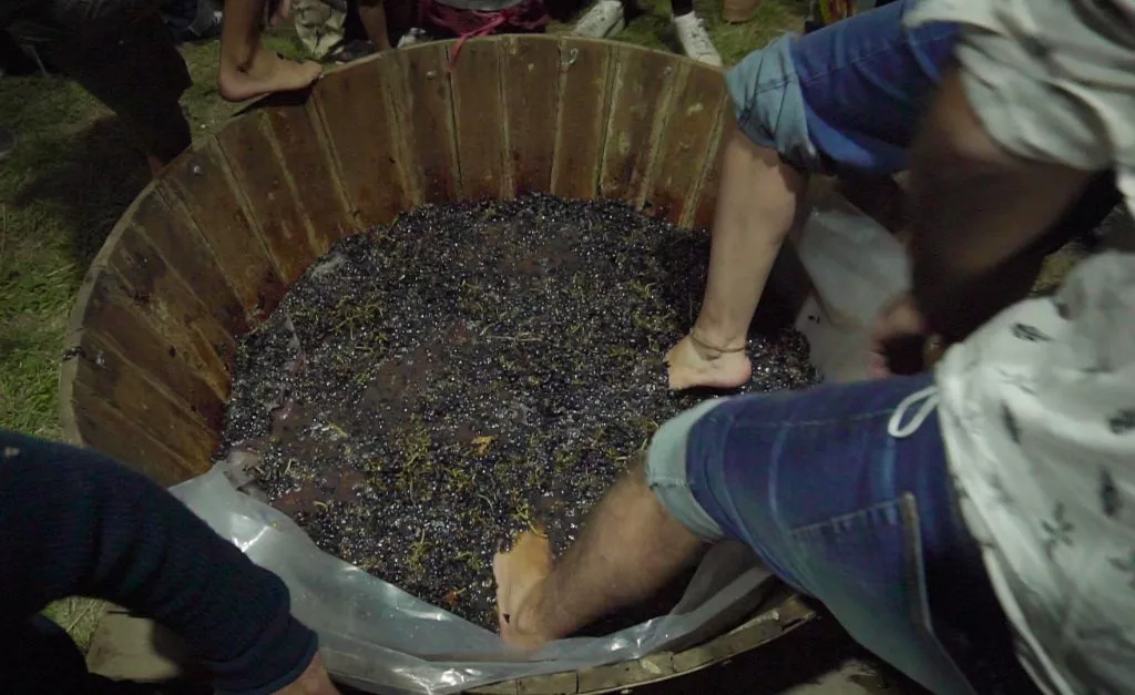 8° edicion de la Fiesta del Vino y la Vid